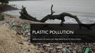 Simple Ways to Live a Life Free From Plastic Pollution