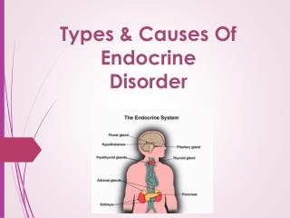 Types & Causes Of Endocrine Disorder