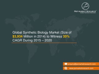 Synthetic Biology Market to witness a steady growth for the next few years