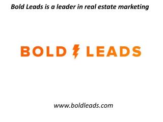 Bold Leads is a leader in real estate marketing