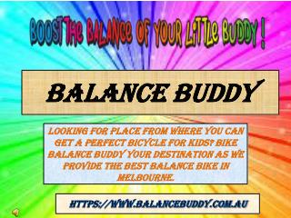 Bike Balance Buddy