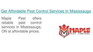 Pest Control Services Mississauga