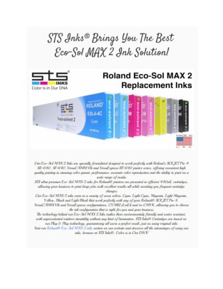 STS InksÂ® brings you the best Eco-Sol MAX 2 Ink solution