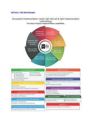 SAP Syclo Work Manager | SAP Work Manager