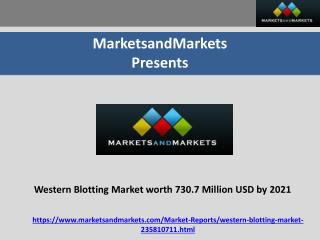 $730.7 Billion Western Blotting Market to 2021 - Global Analysis and Forecasts by Products, Technology & Application