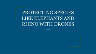 PROTECTING SPECIES LIKE ELEPHANTS AND RHINO WITH DRONES