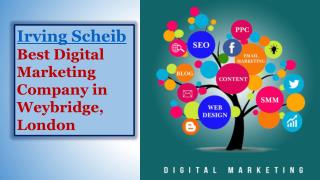Irving Scheib Best Digital Marketing Company in California