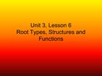 Unit 3, Lesson 6 Root Types, Structures and Functions