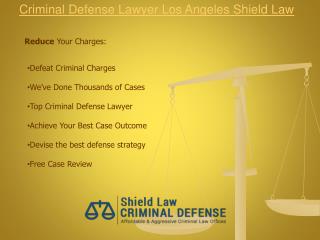 Criminal Defense Lawyer Los Angeles Shield Law