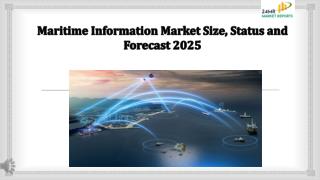Maritime Information Market Size, Status and Forecast 2025
