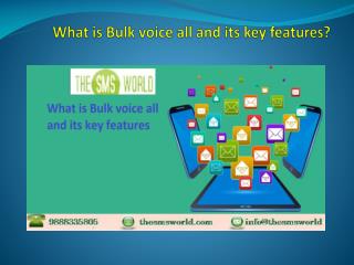 What is Bulk voice all and its key features?