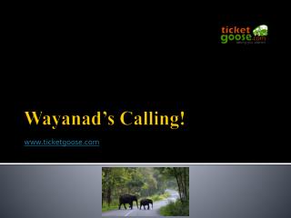 Wayanadâ€™s Calling!