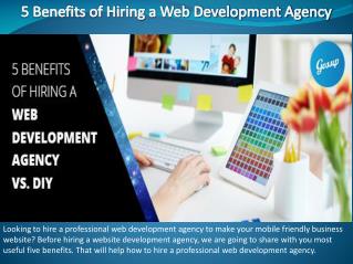 5 Benefits of Hiring a Web Development Agency