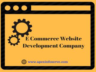 E Commerce Website Development Company from NY, USA-Apex Info-Serve