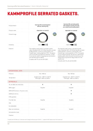 Kammprofile Serrated Gasket