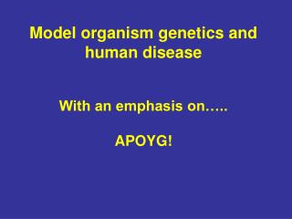 Model organism genetics and human disease With an emphasis on….. APOYG!