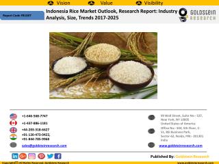 Indonesia Rice Market Outlook, Research Report: Industry Analysis, Size, Trends, Growth, Share, Demand, Segmentation, Ma