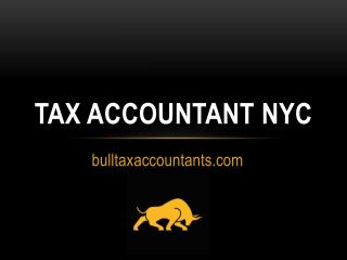 Tax Accountant NYC - bulltaxaccountants.com