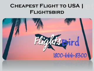 Find the best & cheap Flights to USA Cities