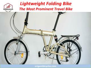 Lightweight Folding Bike