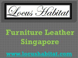 Furniture Leather Singapore - www.locushabitat.com