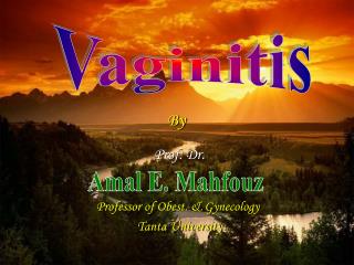 Prof. Dr. Professor of Obest. &amp; Gynecology Tanta University