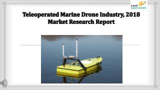 Teleoperated Marine Drone Industry, 2018 Market Research Report