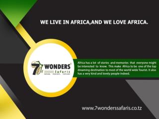 Luxury African Safari : 7Wonderssafaris