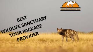 Best Wildlife Sanctuary Tour Package Provider | Jaipur Royal Desert