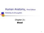 Human Anatomy, First Edition McKinley OLoughlin