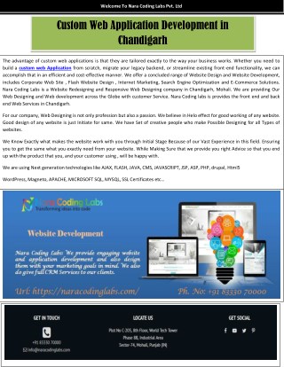 Custom Web Application Development in chandigarh