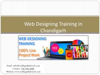 Web designing training in chandigarh - Webliquidinfotech