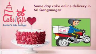 Order midnight cake online shop in Gandhidham