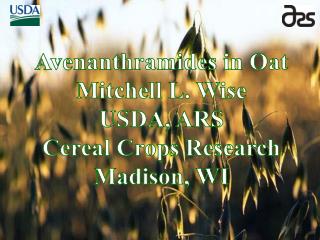 Avenanthramides in Oat Mitchell L. Wise USDA, ARS Cereal Crops Research Madison, WI