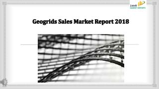 Geogrids Sales Market Report 2018