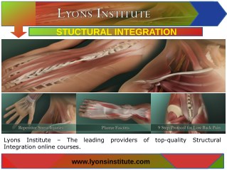 Structural Integration Techniques