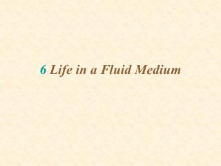 6 Life in a Fluid Medium