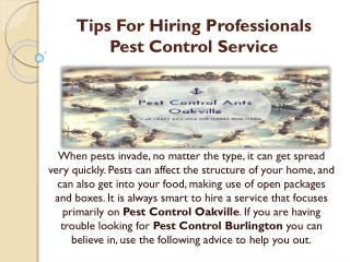 Tips For Hiring Professionals Pest Control Service