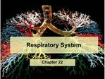 Respiratory System