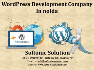 WordPress development company in Noida
