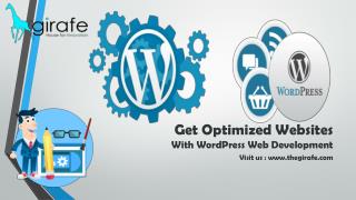 get optimized website with wordpress web development