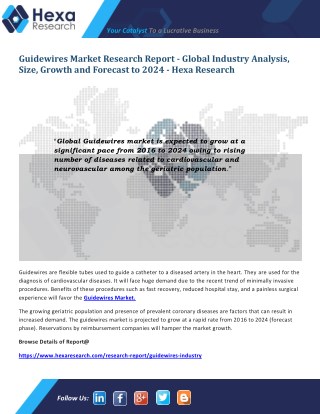 Guidewires Industry Research Report - Market Analysis and Forecast to 2024