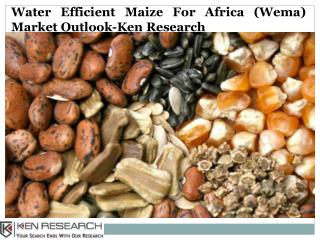 Seed Industry Overview, Seed Industry Statistics-Ken Research