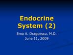 Endocrine System 2