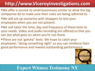 Expert Witness Testimony Nassau County NY