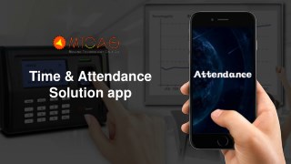 Time & Attendance App Solution