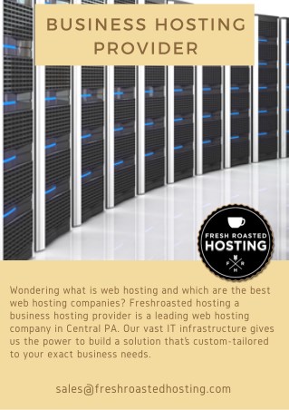 Business Hosting Provider