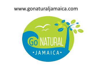 Detox Jamaica Yoga Retreat - www.gonaturaljamaica.com