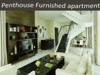 Penthouse Furnished apartment
