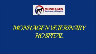 Monhagen Veterinary Hospital | Middletown Vet